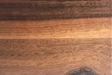 Splint-Nussbaum Holzart